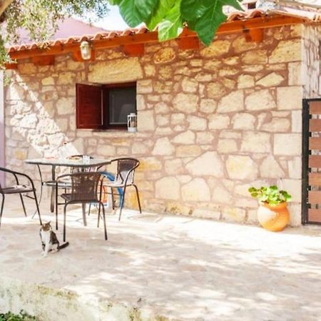 Olive Tree Farm 200M From The Beach Episkopi-Chania Exteriör bild
