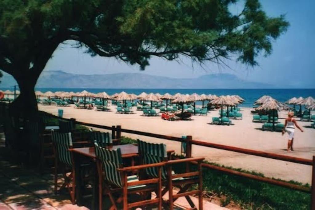 Olive Tree Farm 200M From The Beach Episkopi-Chania Exteriör bild
