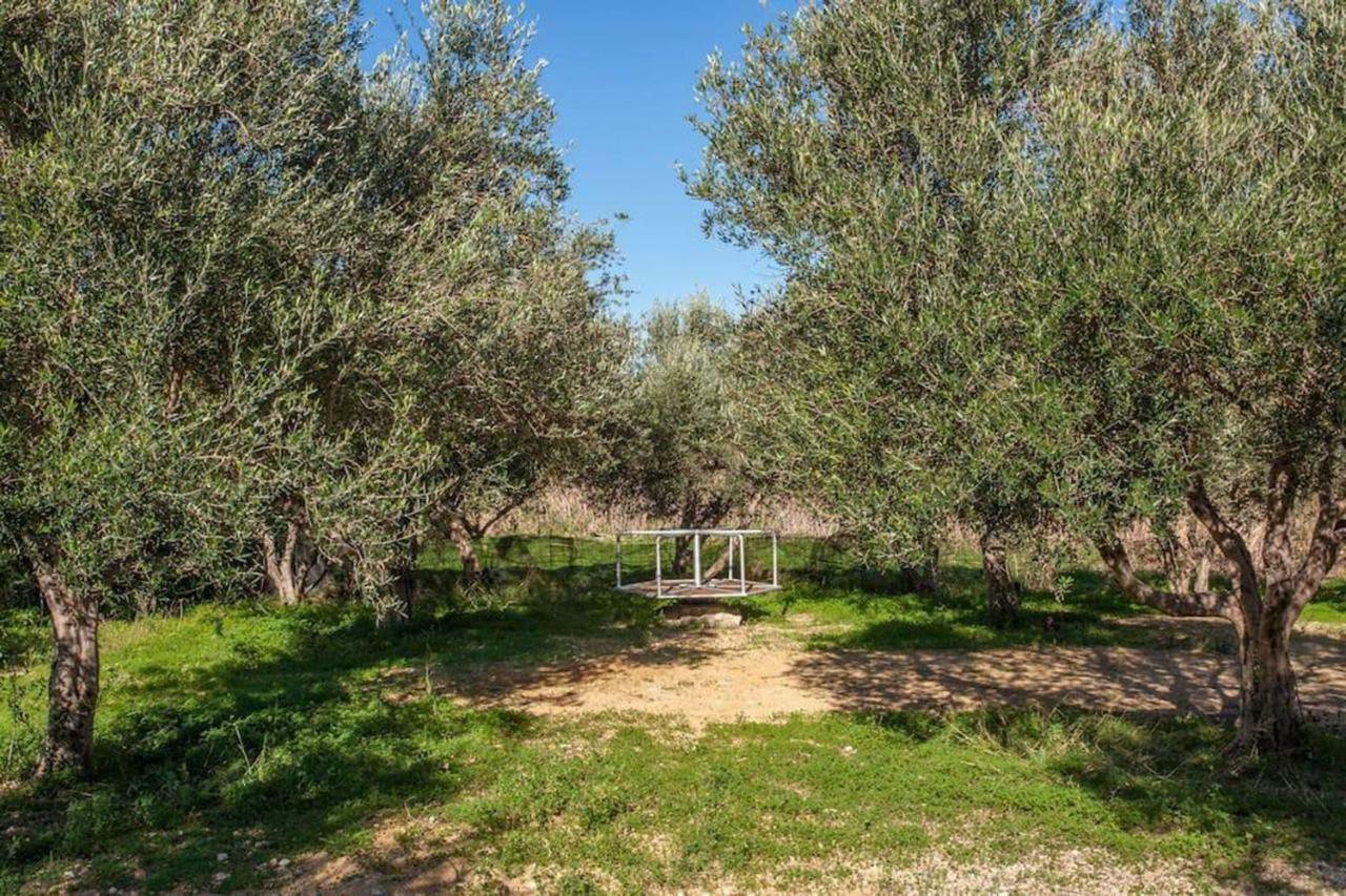 Olive Tree Farm 200M From The Beach Episkopi-Chania Exteriör bild