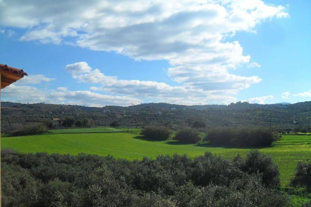 Olive Tree Farm 200M From The Beach Episkopi-Chania Exteriör bild